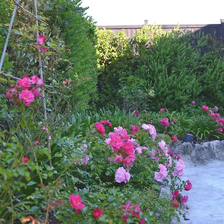 Apartment Lapescouline *
